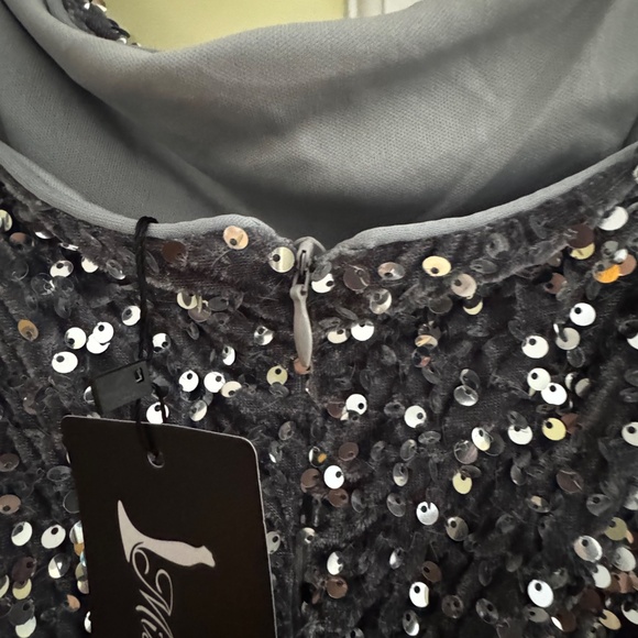 SEQUINED DRESS NWT ~ SIZE 2X - Picture 6 of 6